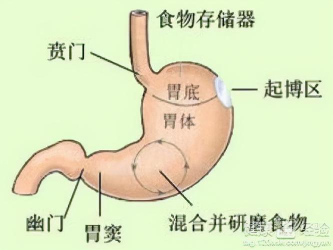 孕妇患有胃溃疡应该怎么做
